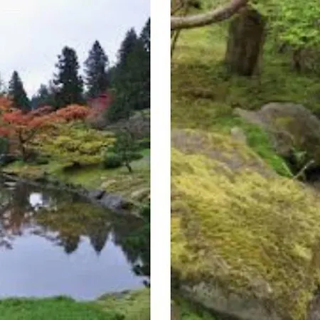 Arboretum Escape